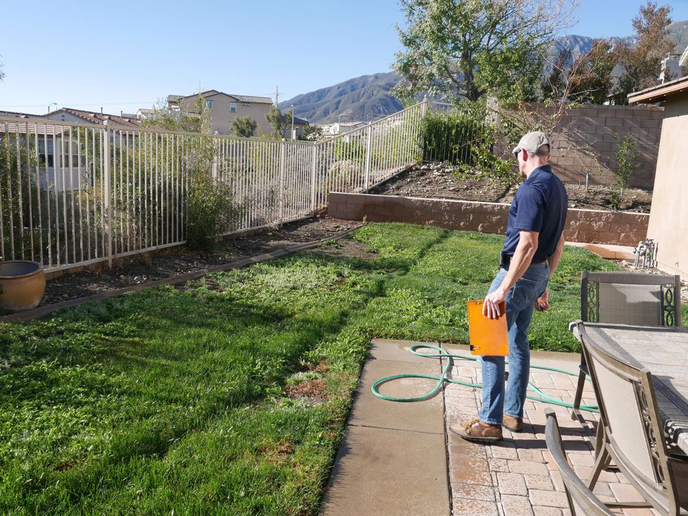 Turf replacement & rebates