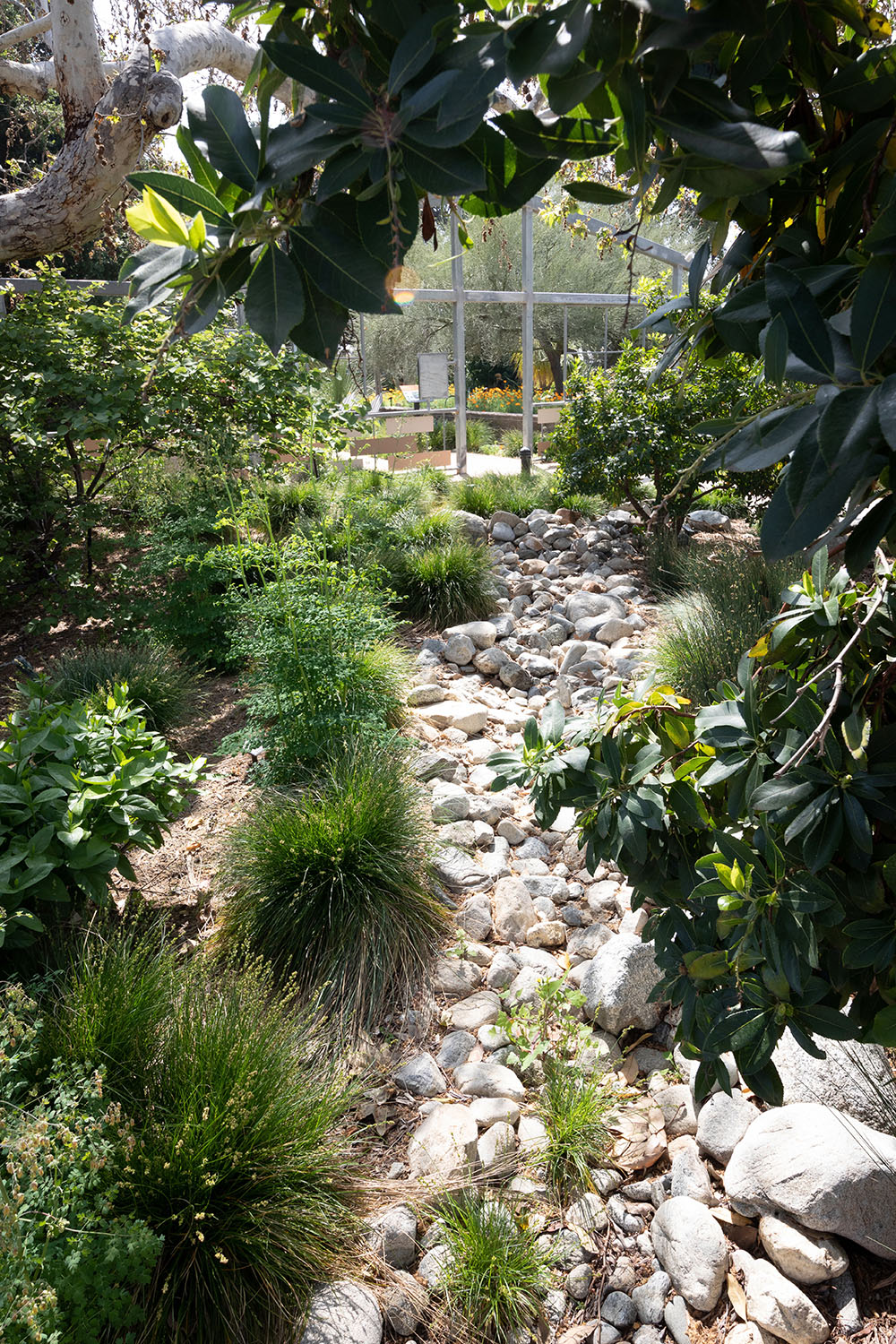 landscape-design