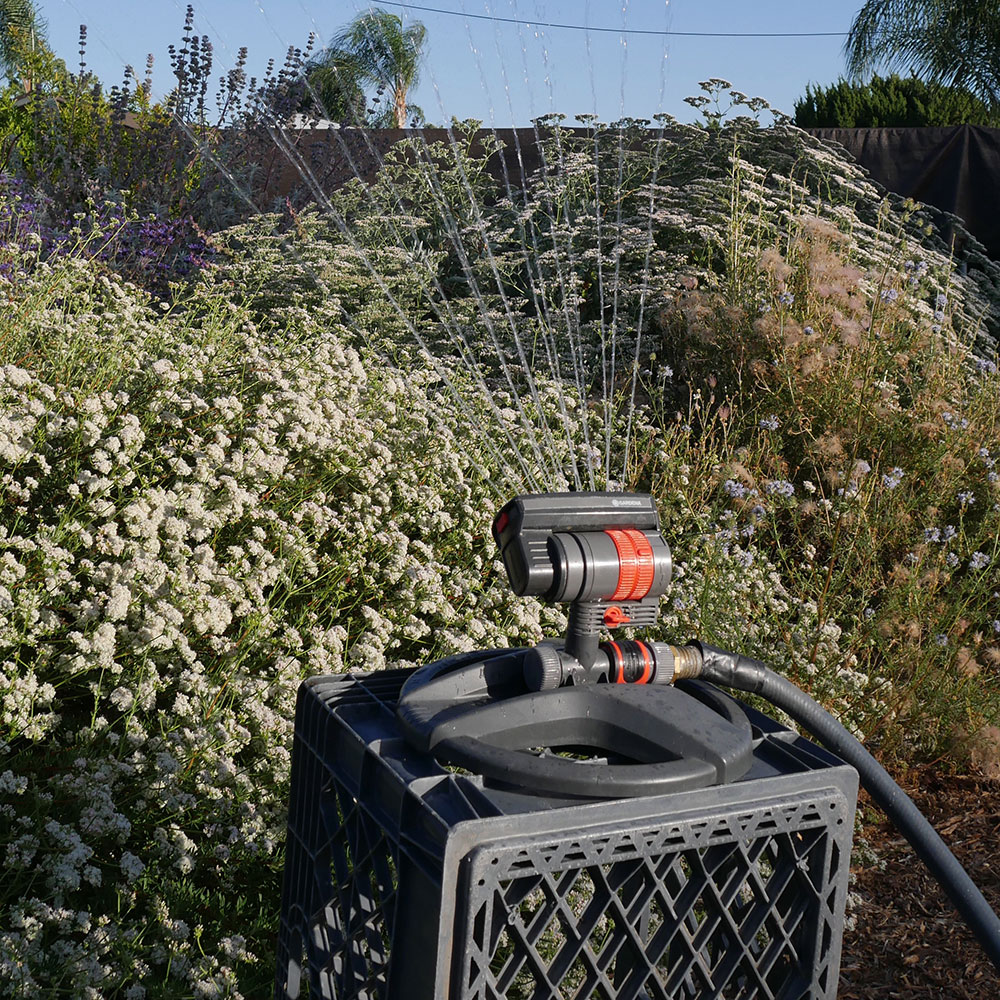 watering-guidelines