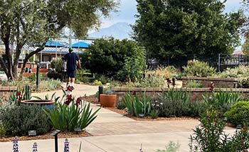 CBWCD_Persona_LandscapeProfessionals (4)