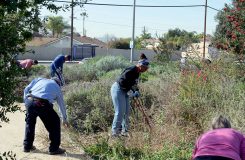 CBWCD_InternshipsVolunteering